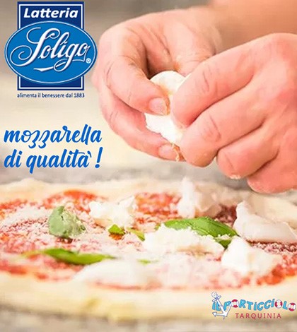 mozzarella_doligo